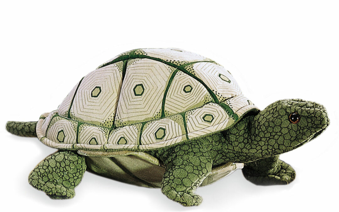 Tortuga terrestre. Marioneta de mano