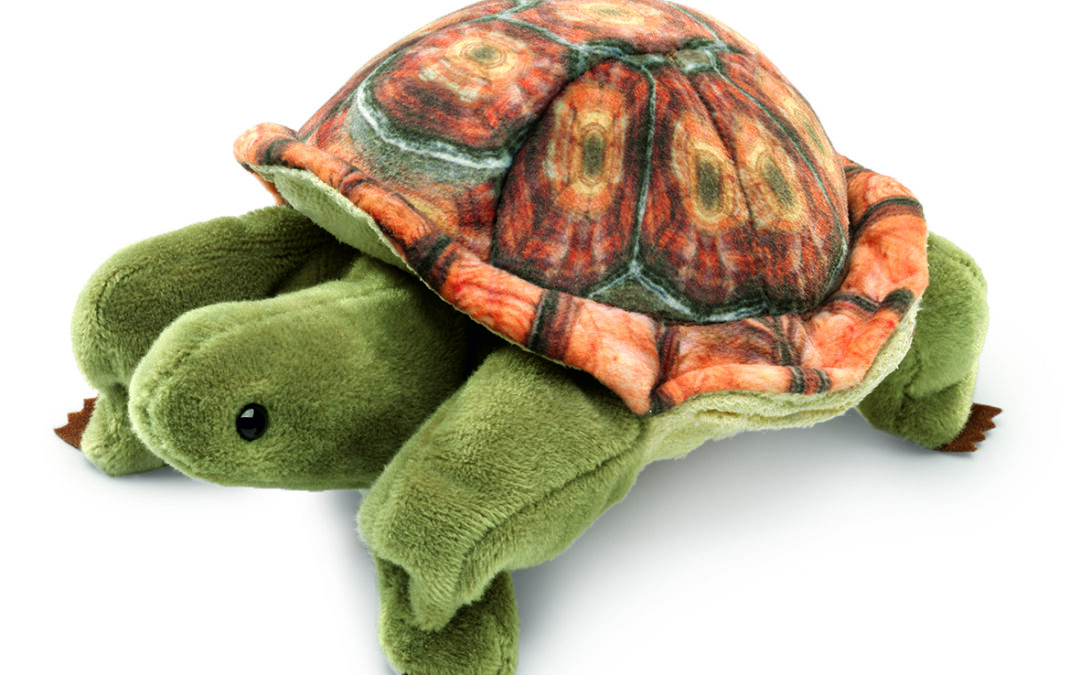 TORTUGA TERRESTRE. Marioneta de dedo infantil