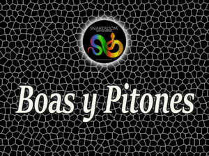 Boas y Pitones