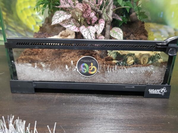 TERRARIO TROPICAL PEQUEÑO_"SNAKEROOM Serpentarium"