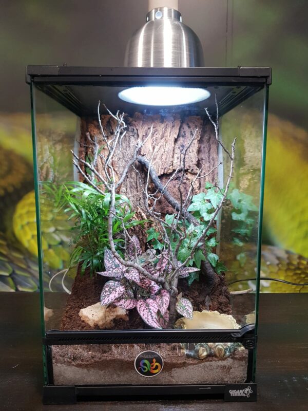 TERRARIO TROPICAL PEQUEÑO_"SNAKEROOM Serpentarium"